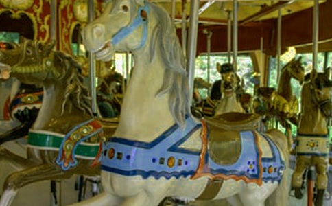 ��תľ������