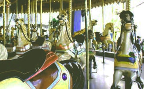 �ɳ������е���תľ������