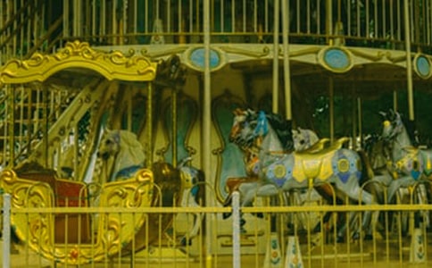 ��תľ������800��