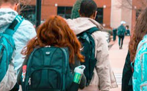 ���ɽ�ѧ���������ʵ���Ųι��Ƽ������޳�