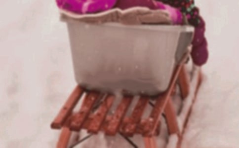 一只贵族狗和一只雪橇犬的故事作文