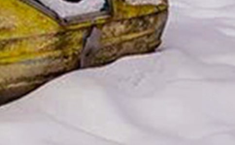 ���ӻ���Ϊѩ����������_Сѧ����