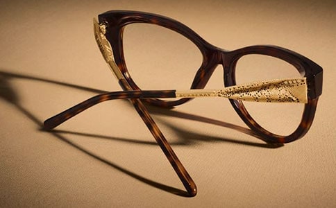 小猫眼镜作文150字(精选25篇)