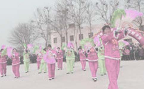 Ť�����������