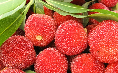 ժ��÷��������