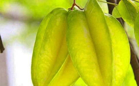 《画杨桃》教案