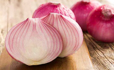 洋葱头历险记童话作文