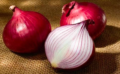 ���ͷ���ռǶ����15ƪ