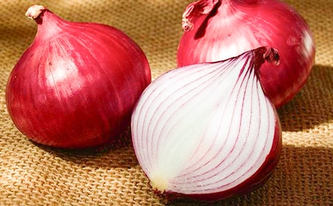 栽洋葱作文400字