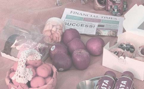 野餐作文450字(精选90篇)