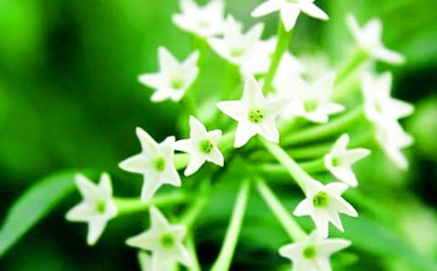 ����ҹ��������ķ���