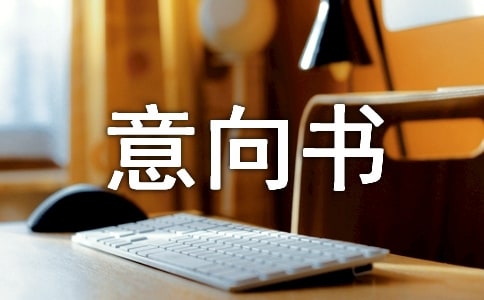 经营意向书(精选)