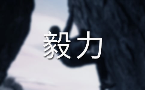 有关毅力的名言警句190句