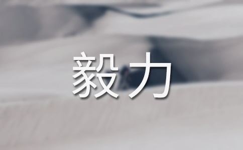 谈毅力作文800字