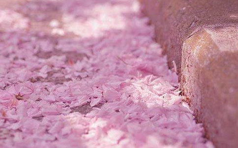 ��дӣ���ľ���