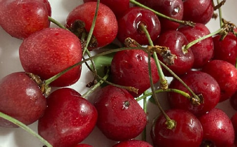 读《外公是棵樱桃树》有感