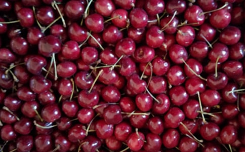 �����ѵ�ӣ�ҡ������