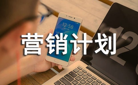 网络营销计划模板