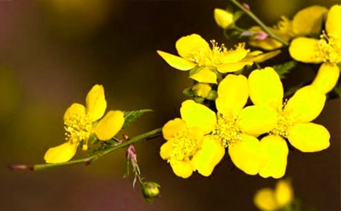 ӭ������������