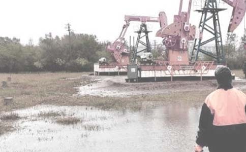 ���������ﴢ���϶�Ⱥ���͸�ʽ��ͷ���