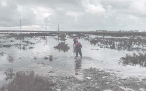 ������˹����ܽ�