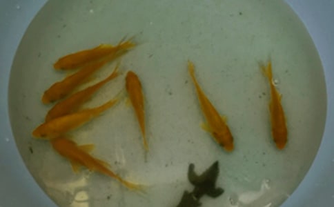 ���繺����ͬ����