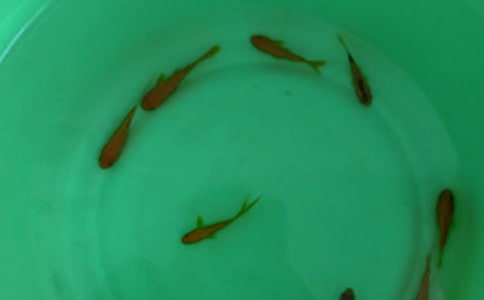 �������繺����ͬ����