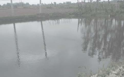 鱼塘承包合同样本