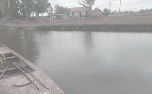 ũ�������а���ͬ[��ѡ15ƪ]