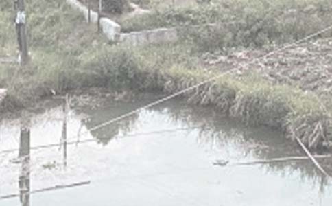 农村鱼塘承包合同范本