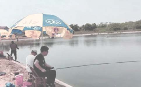 ����������