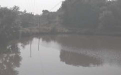 �������޺�ͬ��ͨ�ã�