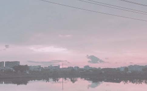 鱼塘经营承包合同