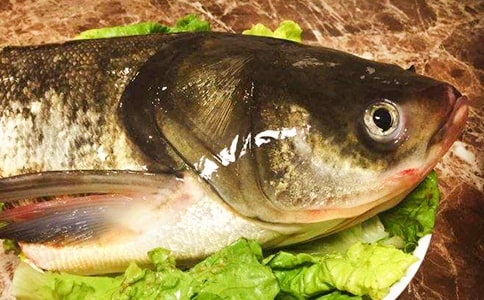 ���谮����ͷ����