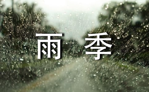 三毛《雨季不再来》读后感800字