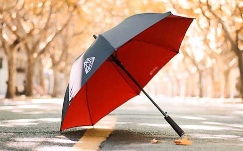 一把雨伞作文500字(通用61篇)