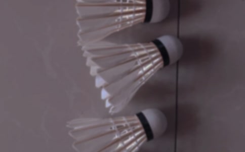 ��ѧ��ë�������߻���������ѡ12ƪ��