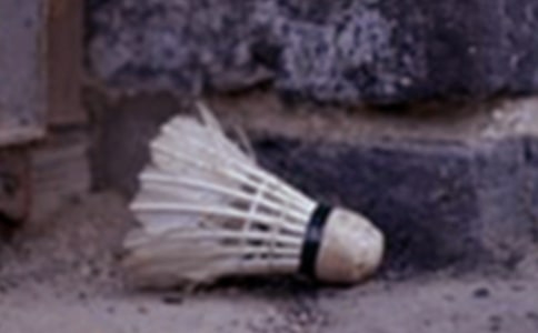 打羽毛球的日记