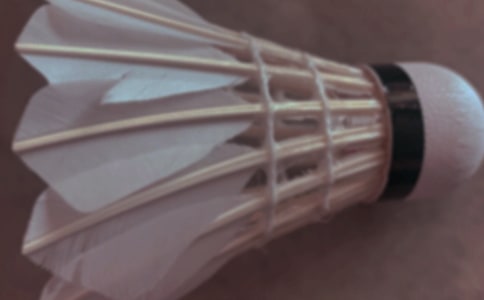 羽毛球比赛的活动方案