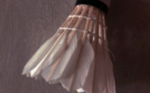 ��ë������߻���15ƪ