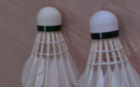 ����ë�������600�� ѧ����ë���и�