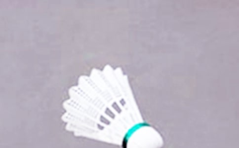 打羽毛球作文500字(通用40篇)