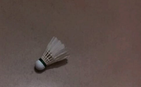 打羽毛球日记200字