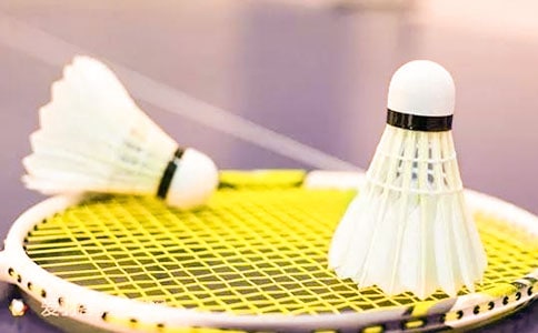 学打羽毛球作文