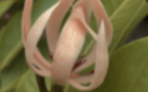 ����������������