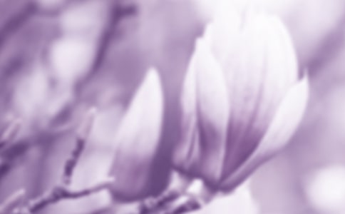 ����������������