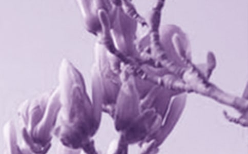 �ּ����������ľ���ɢ��