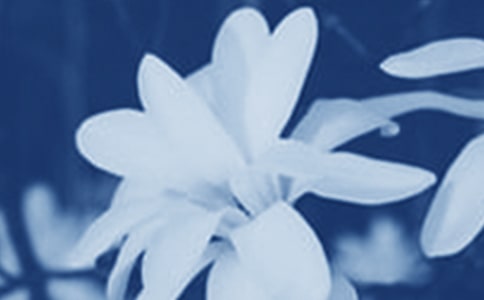 Сѧ�����ģ��۲�������