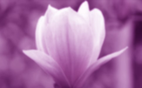 ��д�������������ز�