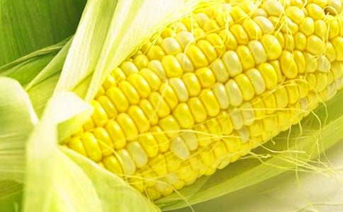 玉米经典散文随笔